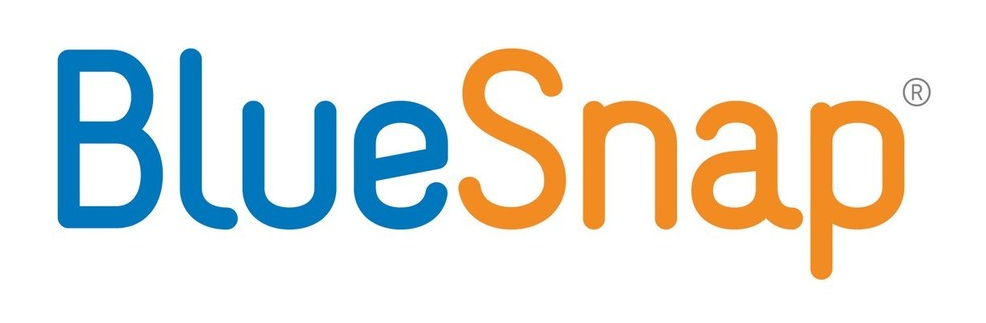 BlueSnap NetSuite credit card processor